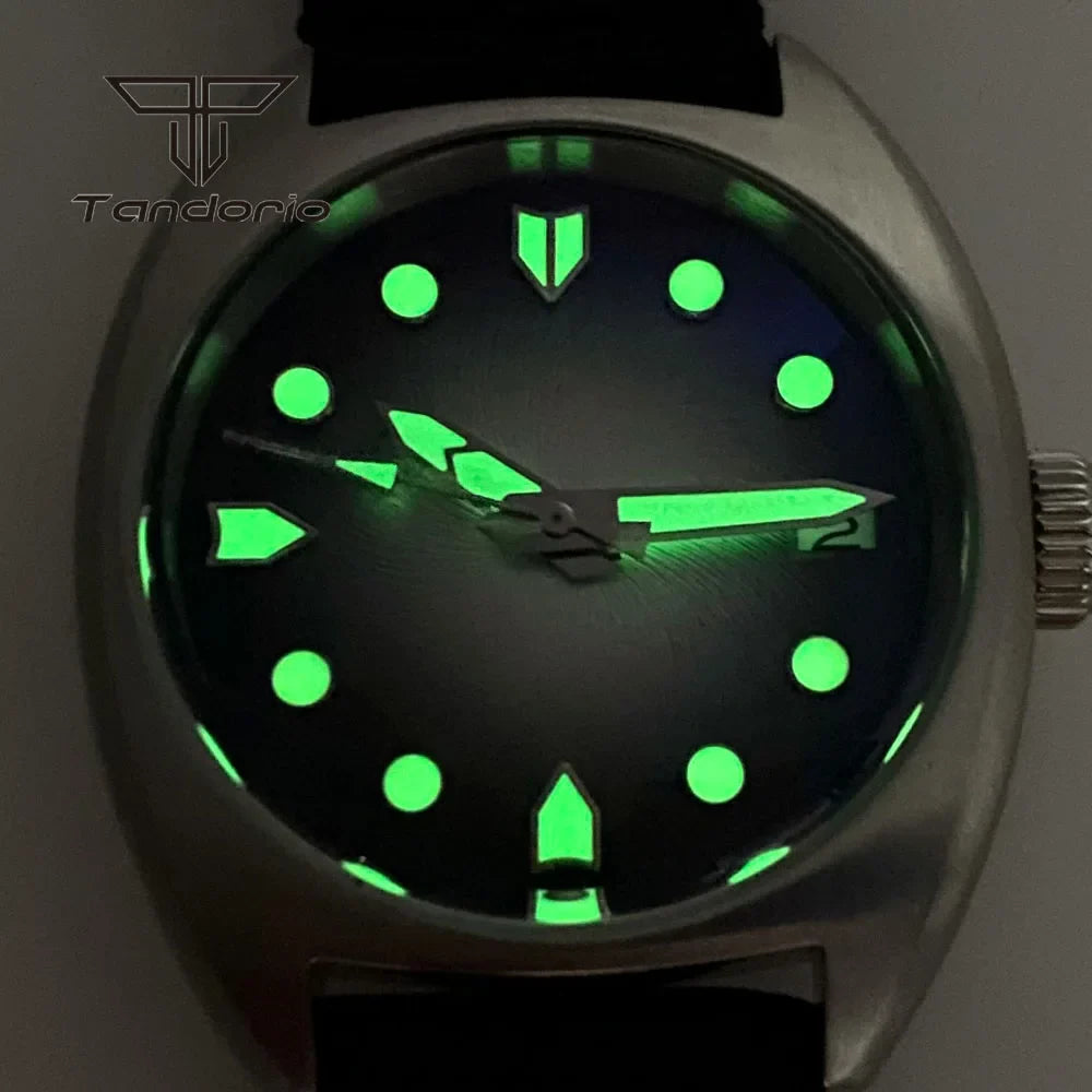 36mm Identity Crisis Mod P02 NH35 Automatic Watch Domed AR Sapphire 20Bar Customizable Pilot
